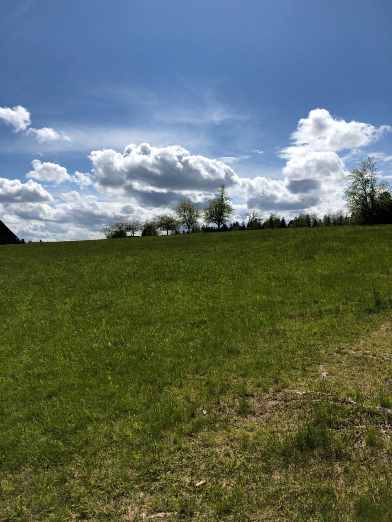 Solhof-Schoemberg Loßburg Buitenkant foto