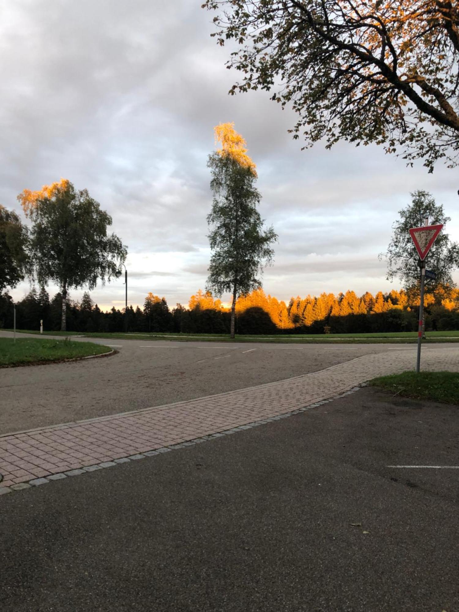 Solhof-Schoemberg Loßburg Buitenkant foto